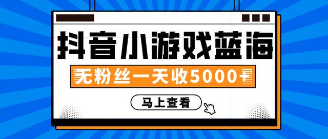 赚钱计划：抖音小游戏蓝海项目，无粉丝一天收入5000+-火柴小市场