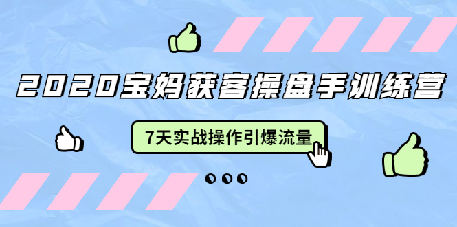 2020宝妈获客操盘手训练营：7天实战操作引爆 母婴、都市、购物宝妈流量-火柴小市场