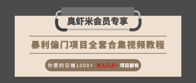 暴利偏门项目全套合集视频教程：你要的日赚1000+月入几万+项目都有-火柴小市场