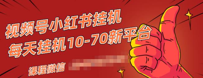 视频号小红书抖音挂机项目，小白无脑操作，按照要求来，单号每天几十米-火柴小市场