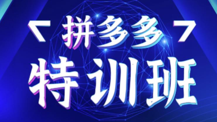 星雪教育·拼多多基础班+进阶班+突破班，用系统的学习模式快速改变现状价值3580元-火柴小市场