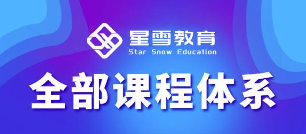 星雪教育淘系高级班，更全的运营提升方案，零基础由浅入深，店铺最新玩法-火柴小市场