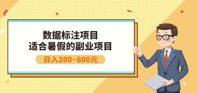 副业赚钱：人工智能数据标注项目，简单易上手，小白也能日入200+-火柴小市场