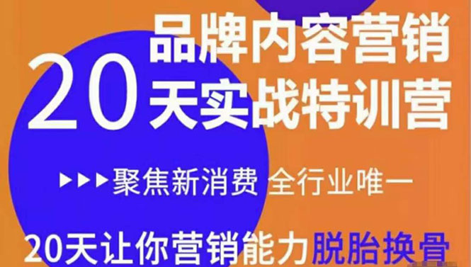 《内容营销实操特训营》20天让你营销能力脱胎换骨（价值3999）-火柴小市场