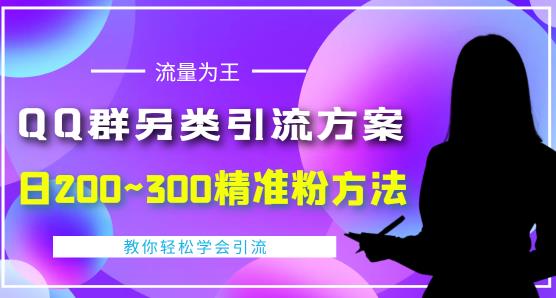 价值888的QQ群另类引流方案，半自动操作日200~300精准粉方法【视频教程】-火柴小市场