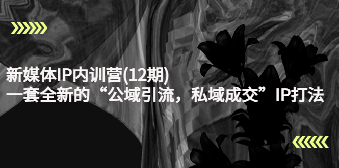 新媒体IP内训营(12期)，一套全新的“公域引流，私域成交”IP打法，直接带走-火柴小市场