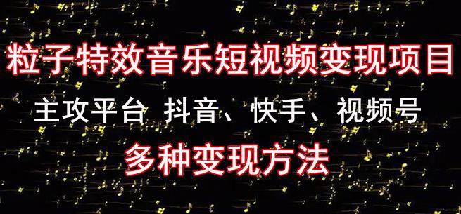 黄岛主《粒子特效音乐短视频变现项目》主攻平台抖音、快手、视频号多种变现方法-火柴小市场