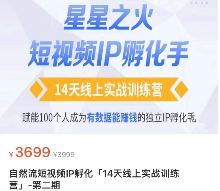 瑶瑶·自然流短视频IP孵化第二期，14天线上实战训练营，赋能100个人成为有数据能赚钱的独立IP孵化手-火柴小市场