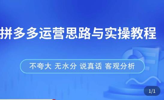 拼多多店铺运营思路与实操教程，快速学会拼多多开店和运营，少踩坑，多盈利-火柴小市场
