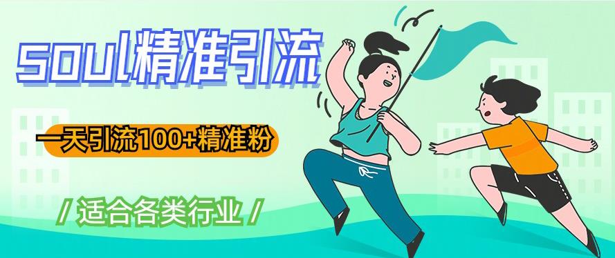 soul精准引流系列课程，一天引流100+精准粉，适合各类行业-火柴小市场