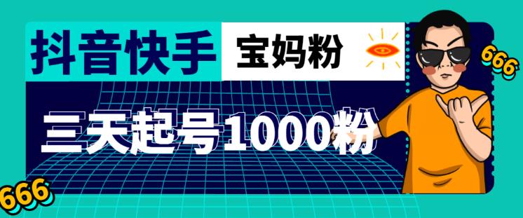 抖音快手三天起号涨粉1000宝妈粉丝的核心方法【详细玩法教程】-火柴小市场