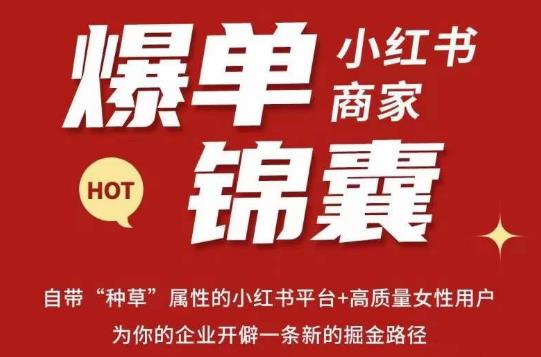 无畏·小红书商家爆单锦囊，掌握小红书各大规则，快速精准抢占行业和市场-火柴小市场