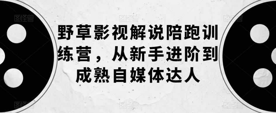 野草影视解说陪跑训练营，从新手进阶到成熟自媒体达人-火柴小市场