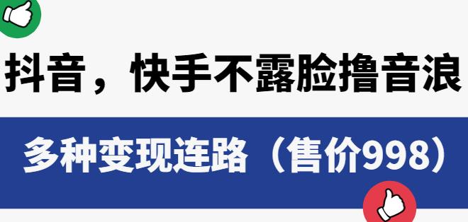抖音快手不露脸撸音浪项目，多种变现连路（售价998）-火柴小市场