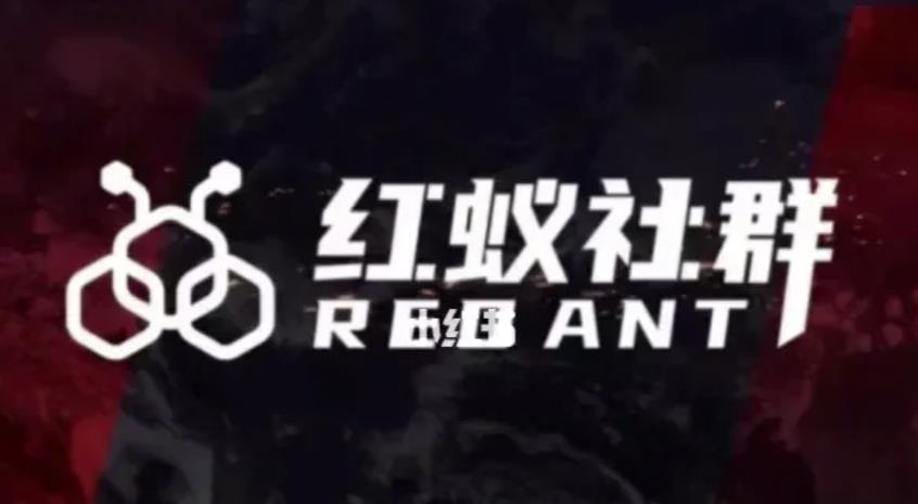 社群运营：红蚁社群【48节落地系统课程+2000人高端社群】-火柴小市场