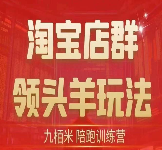 九栢米-淘宝店群领头羊玩法，教你整个淘宝店群领头羊玩法以及精细化/终极蓝海/尾销等内容-火柴小市场