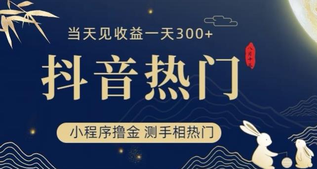 抖音最新小程序撸金，测手相上热门，当天见收益一小时变现300+【揭秘】-火柴小市场