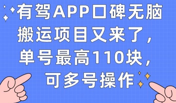 有驾APP口碑无脑搬运项目又来了，单号最高110块，可多号操作-火柴小市场