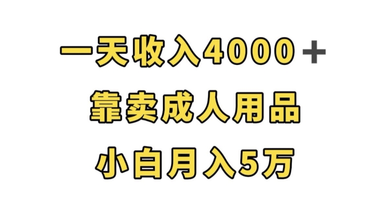 一天收入4000+，靠卖成人用品，小白轻松月入5万【揭秘】-火柴小市场