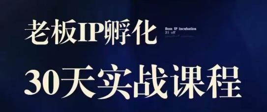 诸葛·2023老板IP实战课，实体同城引流获客，IP孵化必听-火柴小市场
