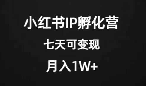 价值2000+的小红书IP孵化营项目，超级大蓝海，七天即可开始变现，稳定月入1W+-火柴小市场