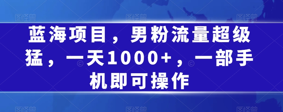 蓝海项目，男粉流量超级猛，一天1000+，一部手机即可操作【揭秘】-火柴小市场