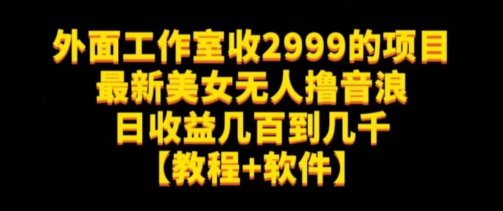 外面工作室收2999的项目最新美女无人撸音浪日收益几百到几千【教程+软件】（仅揭秘）-火柴小市场