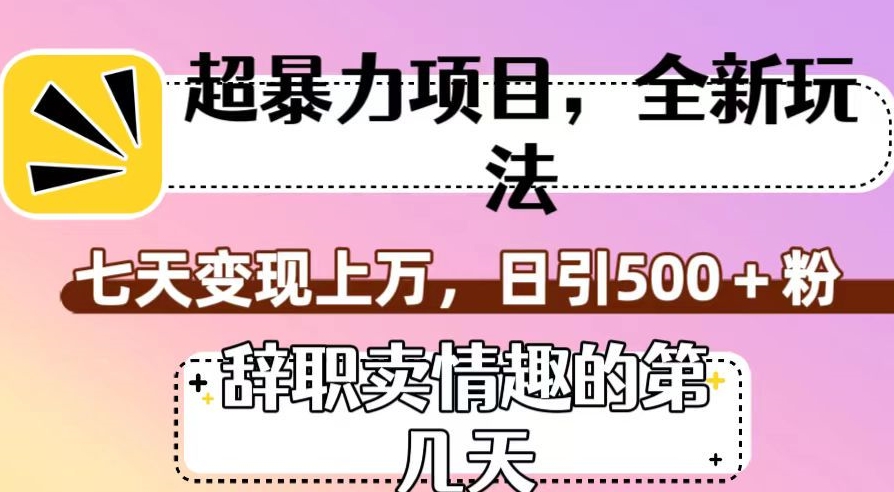超暴利项目，全新玩法（辞职卖情趣的第几天），七天变现上万，日引500+粉【揭秘】-火柴小市场