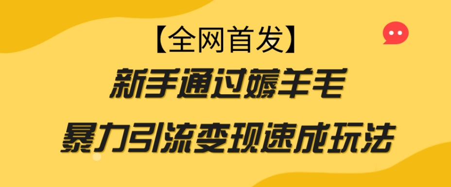 【全网首发】新手通过薅羊毛暴力引流变现速成玩法-火柴小市场