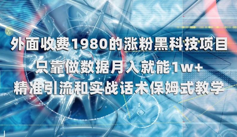 外面收费1980的涨粉黑科技项目，只靠做数据月入就能1w+【揭秘】-火柴小市场