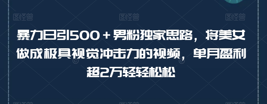 暴力日引500＋男粉独家思路，将美女做成极具视觉冲击力的视频，单月盈利超2万轻轻松松-火柴小市场