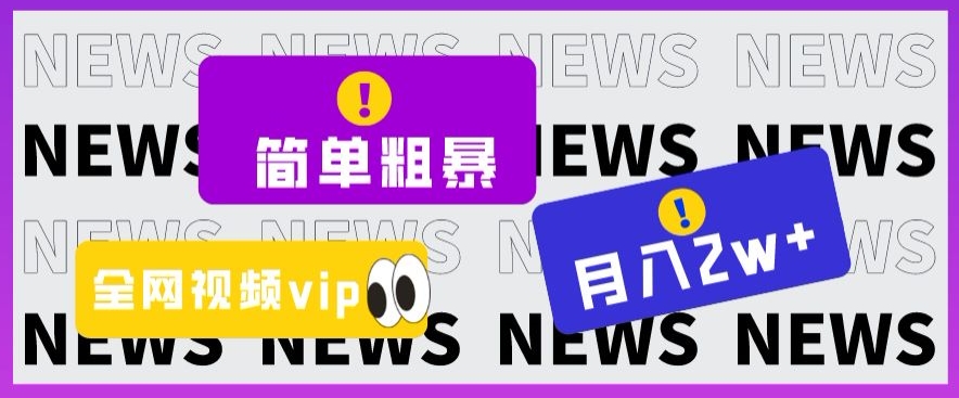 简单粗暴零成本，高回报，全网视频VIP掘金项目，月入2万＋【揭秘】-火柴小市场
