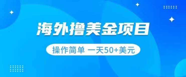 撸美金项目无门槛操作简单小白一天50+美刀-火柴小市场