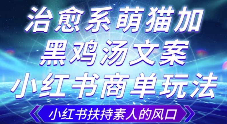 治愈系萌猫加+黑鸡汤文案，小红书商单玩法，3~10天涨到1000粉，一单200左右-火柴小市场
