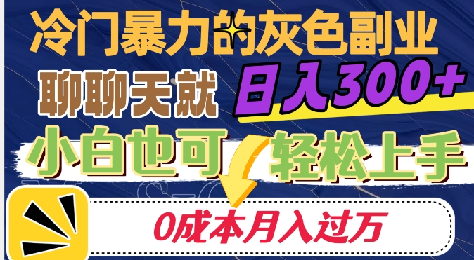 冷门暴利的副业项目，聊聊天就能日入300+，0成本月入过万【揭秘】-火柴小市场