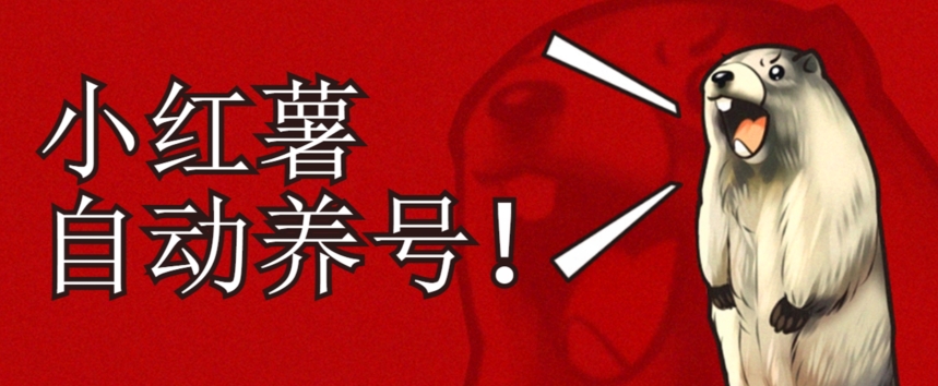 小红书养号秘籍，如何自动涨粉清晰系统标签打造高权重账号【揭秘】-火柴小市场