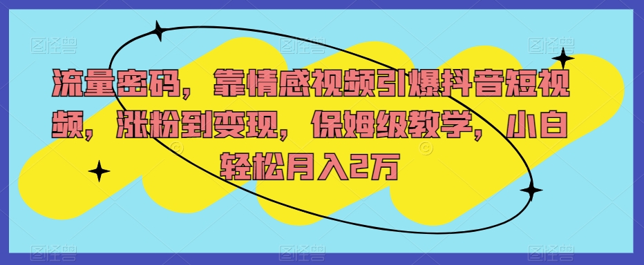 流量密码，靠情感视频引爆抖音短视频，涨粉到变现，保姆级教学，小白轻松月入2万【揭秘】-火柴小市场