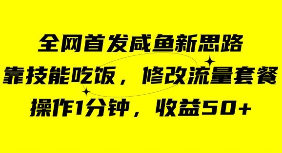 咸鱼冷门新玩法，靠“技能吃饭”，修改流量套餐，操作1分钟，收益50【揭秘】-火柴小市场