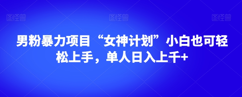 男粉暴力项目“女神计划”小白也可轻松上手，单人日入上千+【揭秘】-火柴小市场
