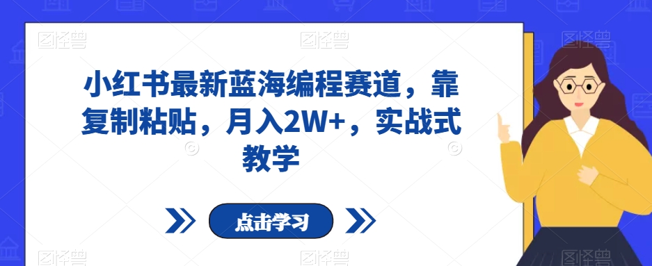 小红书最新蓝海编程赛道，靠复制粘贴，月入2W+，实战式教学【揭秘】-火柴小市场