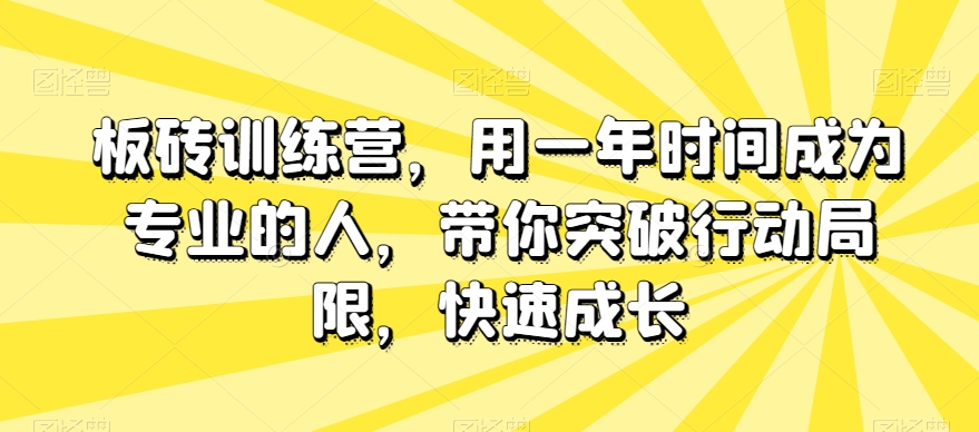 板砖训练营，用一年时间成为专业的人，带你突破行动局限，快速成长-火柴小市场