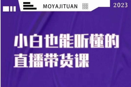 大威本威·能听懂的直播带货课，小白也能听懂，20节完整-火柴小市场