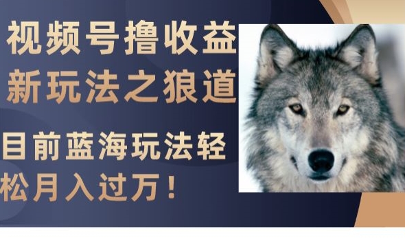 视频号撸收益新玩法之狼道，目前蓝海玩法，轻松月入过万【揭秘】-火柴小市场