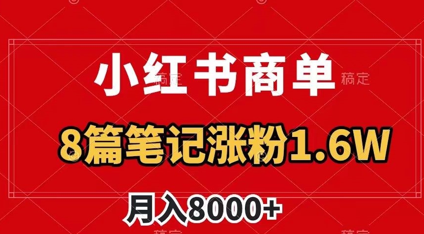小红书商单最新玩法，8篇笔记涨粉1.6w，作品制作简单，月入8000+【揭秘】-火柴小市场