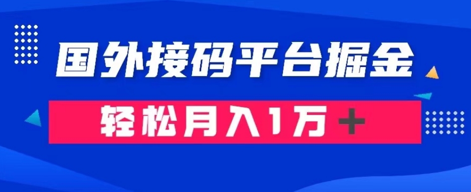 通过国外接码平台掘金：成本1.3，利润10＋，轻松月入1万＋【揭秘】-火柴小市场