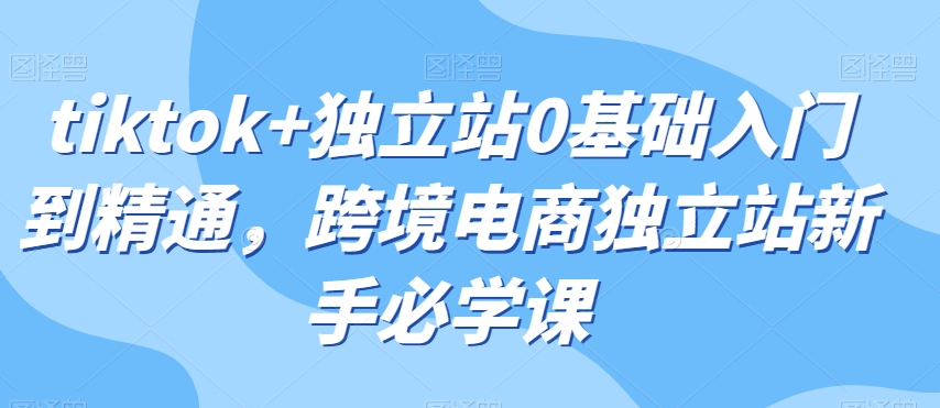 tiktok+独立站0基础入门到精通，跨境电商独立站新手必学课-火柴小市场