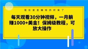 每天观看30分钟视频，一月躺赚1000+美金！保姆级教程，可放大操作【揭秘】-火柴小市场
