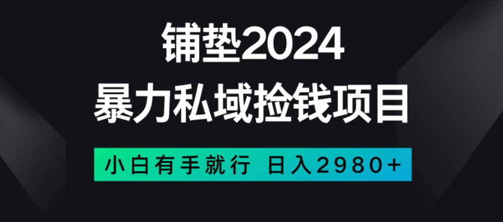 暴力私域捡钱项目，小白无脑操作，日入2980【揭秘】-火柴小市场