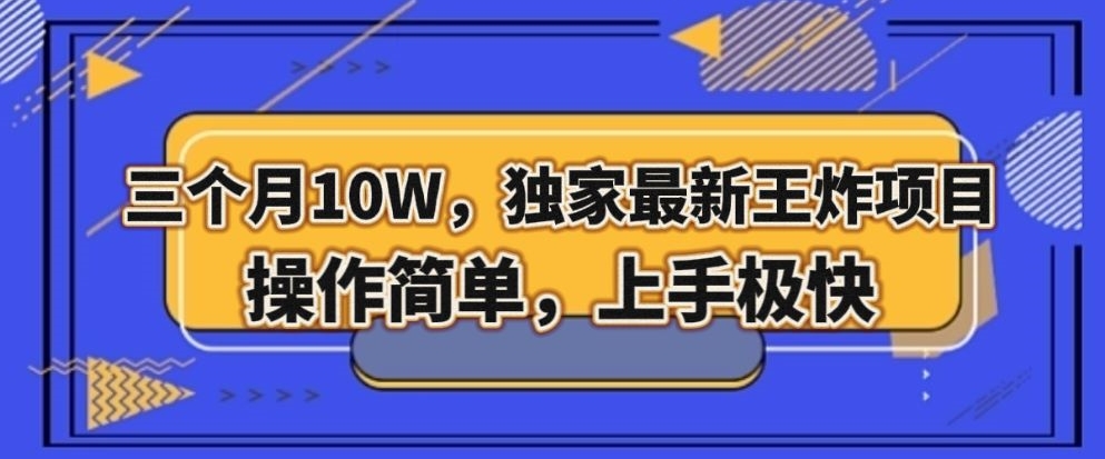 三个月10W，独家最新王炸项目！操作简单，上手极快【揭秘】-火柴小市场