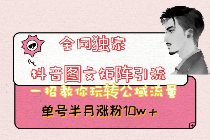 全网独家抖音图文矩阵引流，一招教你玩转公域流量，单号半月涨粉10w+【揭秘】-火柴小市场